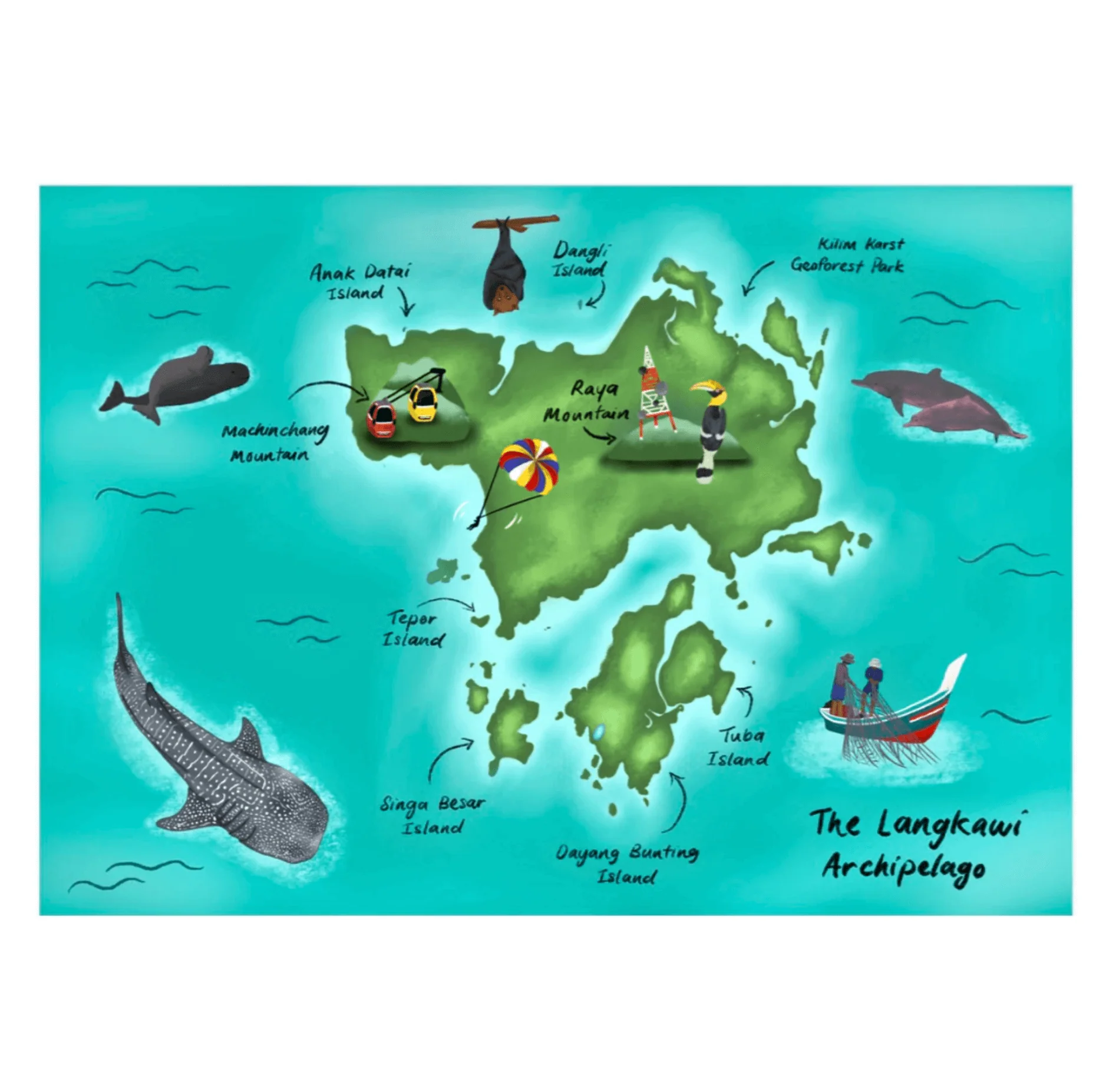 MareCet : Mummy, Where's My Dorsal Fin? - Image 3
