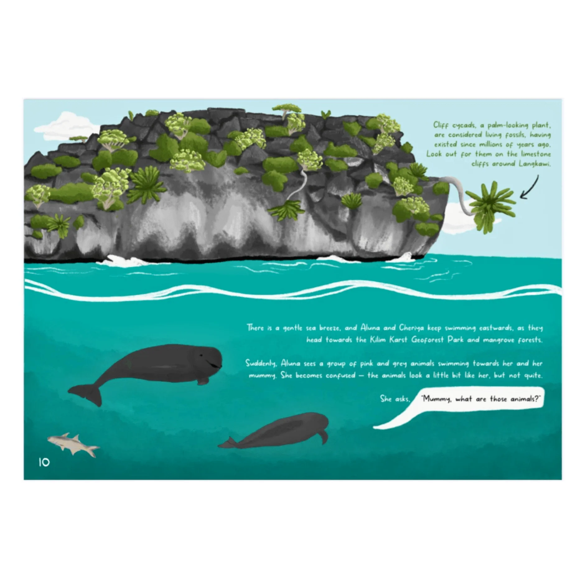 MareCet : Mummy, Where's My Dorsal Fin? - Image 4
