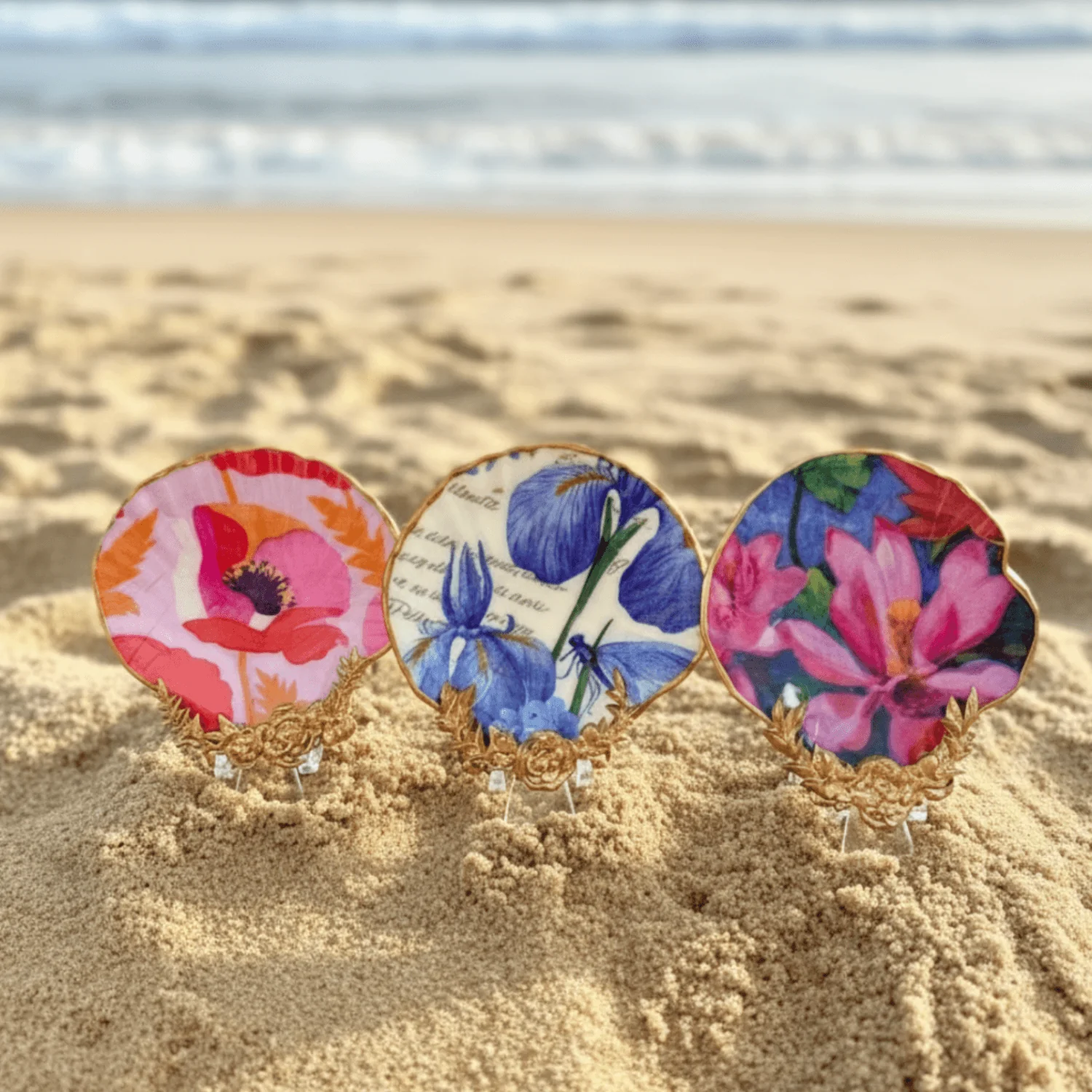 Lavish Lifestyle - Scallop Shell : Large (A)